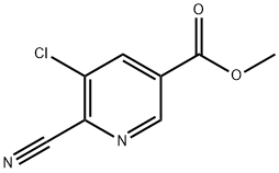 5-氯-6-氰基烟酸甲酯 结构式