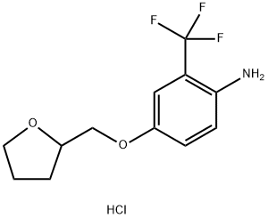 4-(TETRAHYDRO-2-FURANYLMETHOXY)-2-(TRIFLUOROMETHYL)ANILINE HYDROCHLORIDE 结构式