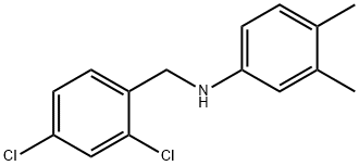 N-(2,4-Dichlorobenzyl)-3,4-dimethylaniline 结构式