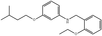 N-(2-Ethoxybenzyl)-3-(isopentyloxy)aniline 结构式