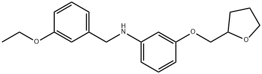 N-(3-Ethoxybenzyl)-3-(tetrahydro-2-furanylmethoxy)aniline 结构式