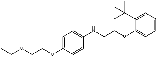 N-{2-[2-(tert-Butyl)phenoxy]ethyl}-4-(2-ethoxyethoxy)aniline 结构式