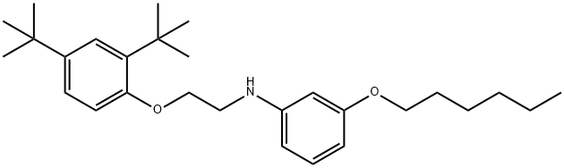 N-{2-[2,4-Di(tert-butyl)phenoxy]ethyl}-3-(hexyloxy)aniline 结构式