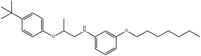 N-{2-[4-(tert-Butyl)phenoxy]propyl}-3-(heptyloxy)aniline 结构式