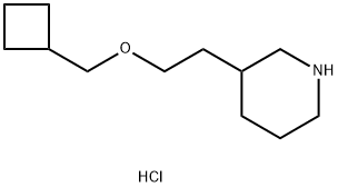 3-[2-(Cyclobutylmethoxy)ethyl]piperidinehydrochloride 结构式