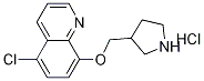 5-Chloro-8-(3-pyrrolidinylmethoxy)quinolinehydrochloride 结构式