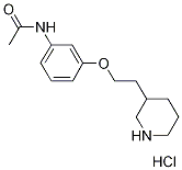 N-{3-[2-(3-Piperidinyl)ethoxy]phenyl}acetamidehydrochloride 结构式