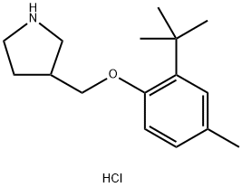 3-{[2-(tert-Butyl)-4-methylphenoxy]-methyl}pyrrolidine hydrochloride 结构式