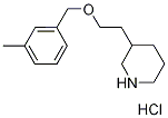 3-{2-[(3-Methylbenzyl)oxy]ethyl}piperidinehydrochloride 结构式