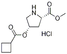 Methyl (2S,4S)-4-[(cyclobutylcarbonyl)oxy]-2-pyrrolidinecarboxylate hydrochloride