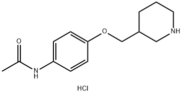 N-[4-(3-Piperidinylmethoxy)phenyl]acetamidehydrochloride 结构式