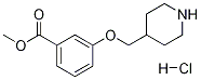 Methyl 3-(4-piperidinylmethoxy)benzoatehydrochloride 结构式