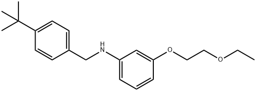 N-[4-(tert-Butyl)benzyl]-3-(2-ethoxyethoxy)aniline 结构式