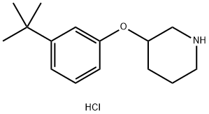 3-[3-(tert-Butyl)phenoxy]piperidine hydrochloride 结构式