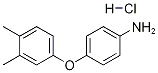 4-(3,4-DIMETHYLPHENOXY)ANILINE HYDROCHLORIDE 结构式