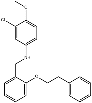 3-Chloro-4-methoxy-N-[2-(phenethyloxy)benzyl]-aniline 结构式