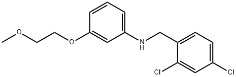 N-(2,4-Dichlorobenzyl)-3-(2-methoxyethoxy)aniline 结构式