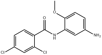 N-(5-Amino-2-methoxyphenyl)-2,4-dichlorobenzamide 结构式
