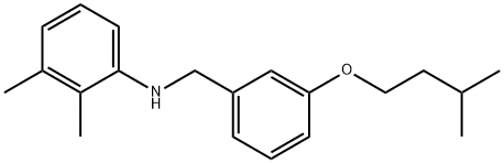 N-[3-(Isopentyloxy)benzyl]-2,3-dimethylaniline 结构式