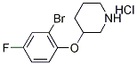 3-(2-Bromo-4-fluorophenoxy)piperidinehydrochloride 结构式