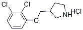 3-[(2,3-Dichlorophenoxy)methyl]pyrrolidinehydrochloride 结构式