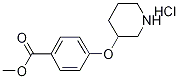 Methyl 4-(3-piperidinyloxy)benzoate hydrochloride 结构式