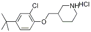 3-{[4-(tert-Butyl)-2-chlorophenoxy]-methyl}piperidine hydrochloride 结构式