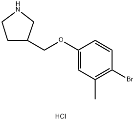 3-[(4-Bromo-3-methylphenoxy)methyl]pyrrolidinehydrochloride 结构式