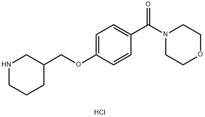 4-[4-(哌啶-3-基甲氧基)苯甲酰]吗啉盐酸盐 结构式