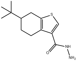 6-叔丁基-4,5,6,7-四氢苯并噻吩-3-甲酰肼 结构式