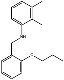 2,3-Dimethyl-N-(2-propoxybenzyl)aniline 结构式