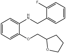 N-(2-Fluorobenzyl)-2-(tetrahydro-2-furanylmethoxy)aniline 结构式