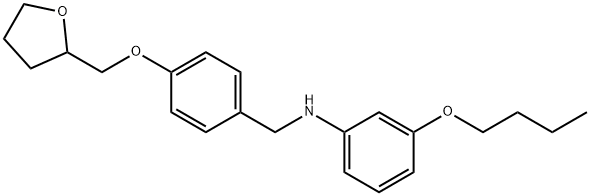 N-(3-Butoxyphenyl)-N-[4-(tetrahydro-2-furanylmethoxy)benzyl]amine 结构式