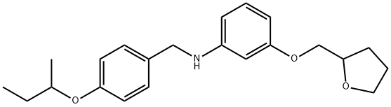 N-[4-(sec-Butoxy)benzyl]-3-(tetrahydro-2-furanylmethoxy)aniline 结构式