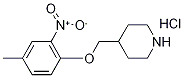 4-[(4-Methyl-2-nitrophenoxy)methyl]piperidinehydrochloride 结构式