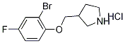 3-[(2-Bromo-4-fluorophenoxy)methyl]pyrrolidinehydrochloride 结构式