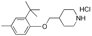 4-{[2-(tert-Butyl)-4-methylphenoxy]-methyl}piperidine hydrochloride 结构式