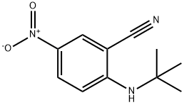 2-(叔丁基氨基)-5-硝基-苯甲腈 结构式