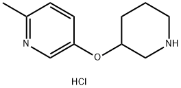 6-METHYL-3-PYRIDINYL 3-PIPERIDINYL ETHER DIHYDROCHLORIDE 结构式