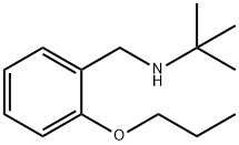 2-Methyl-N-(2-propoxybenzyl)-2-propanamine 结构式