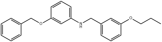 3-(Benzyloxy)-N-(3-propoxybenzyl)aniline 结构式