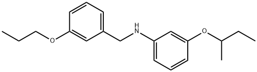 3-(sec-Butoxy)-N-(3-propoxybenzyl)aniline 结构式