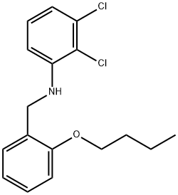 N-(2-BUTOXYBENZYL)-2,3-DICHLOROANILINE 结构式