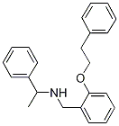 N-[2-(Phenethyloxy)benzyl]-1-phenyl-1-ethanamine 结构式