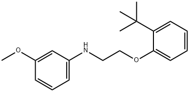 N-{2-[2-(tert-Butyl)phenoxy]ethyl}-3-methoxyaniline 结构式