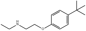 N-{2-[4-(tert-Butyl)phenoxy]ethyl}-N-ethylamine 结构式