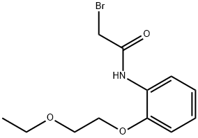 2-Bromo-N-[2-(2-ethoxyethoxy)phenyl]acetamide 结构式