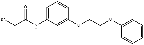 2-Bromo-N-[3-(2-phenoxyethoxy)phenyl]acetamide 结构式