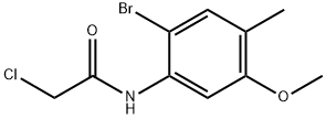 N-(2-溴-5-甲氧基-4-甲基苯基)-2-氯乙酰胺 结构式