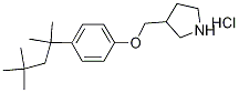 3-{[4-(1,1,3,3-Tetramethylbutyl)phenoxy]-methyl}pyrrolidine hydrochloride 结构式